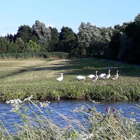 Bij Tante Teun Bed & Breakfast