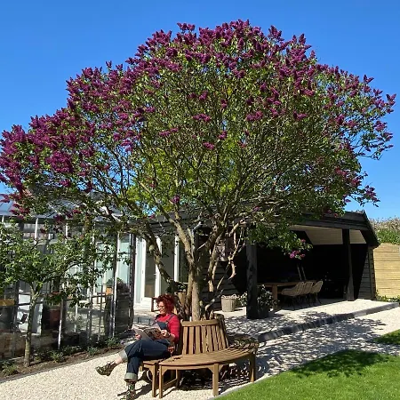 Bij Tante Teun Bed & Breakfast