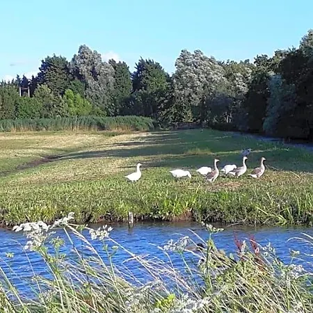 Bij Tante Teun Bed & Breakfast