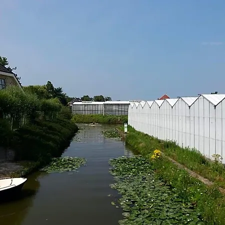 Bed & Breakfast Bij Tante Teun Naaldwijk