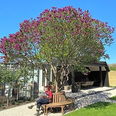 Bed & Breakfast Bij Tante Teun Naaldwijk