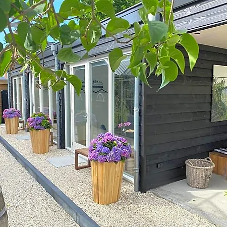 Bij Tante Teun Bed & Breakfast Naaldwijk