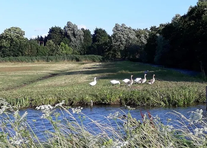 Bij Tante Teun Bed & Breakfast