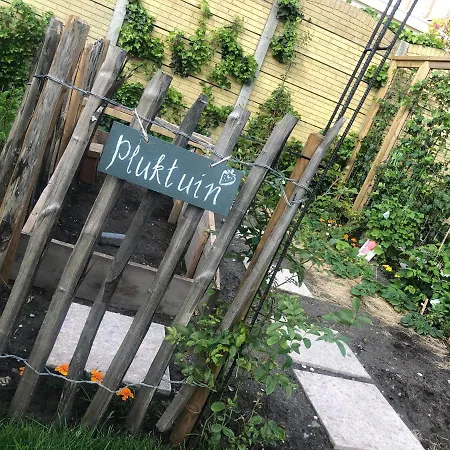 Bij Tante Teun Bed & Breakfast Naaldwijk